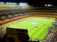 IM竞技-联合杯鏖战法网，蒂姆刷新纪录，铸就网坛新传奇