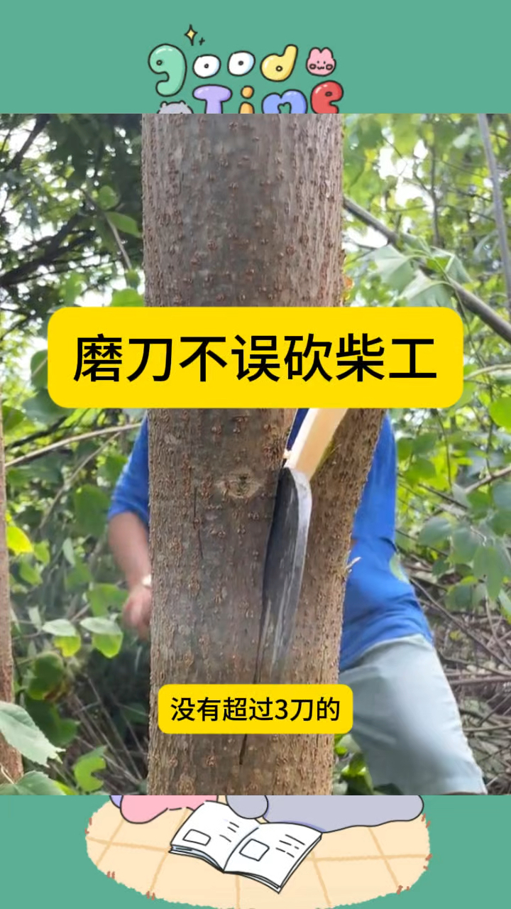 丢分再丢分，马赛表现堪忧，磨刀不误砍柴工的简单介绍