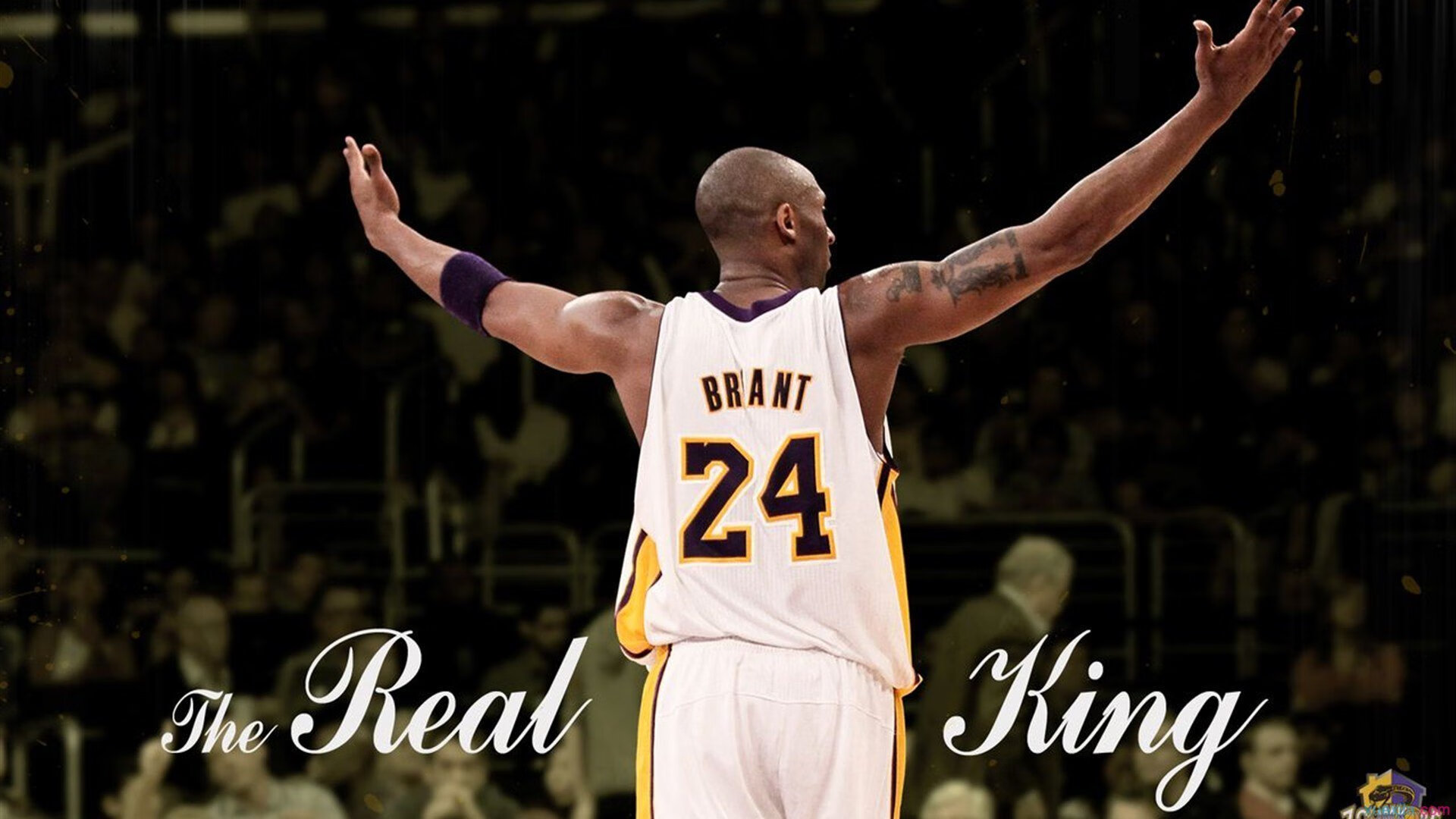 铁壁魔术，季后赛防守艺术如何锁死尼克斯进攻引擎